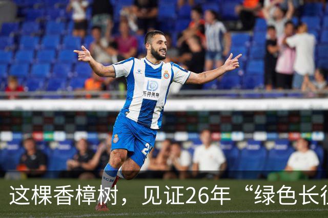 这棵香樟树，见证26年“绿色长征”