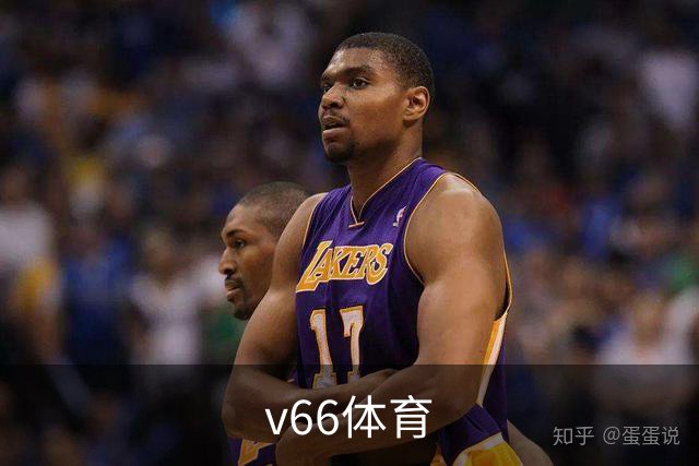 关于v66体育